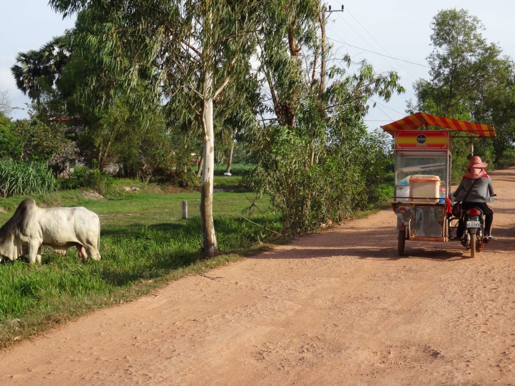 marchand ambulant et zebu campagne kampot