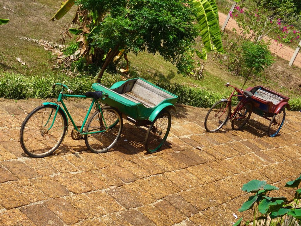 vélo charette la plantation de poivre kampot