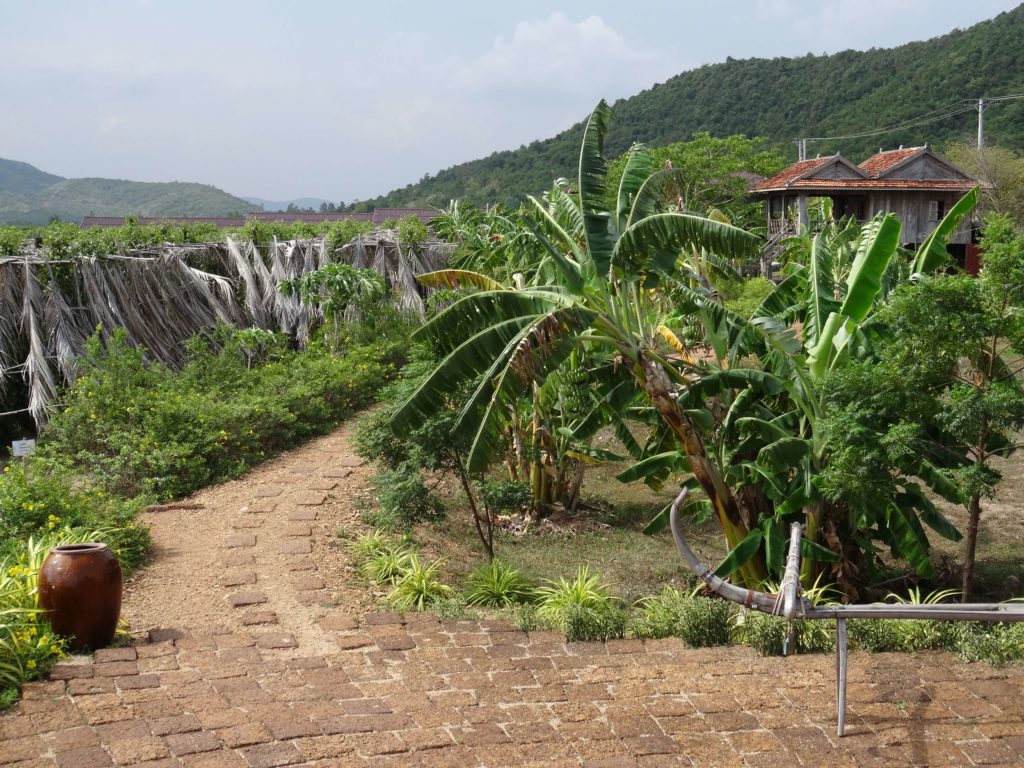 la plantation poivre Kampot