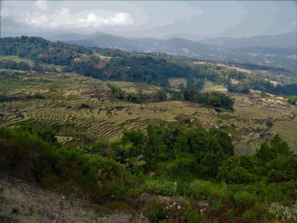 vue depuis batutumonga sur les rizières asséchées
