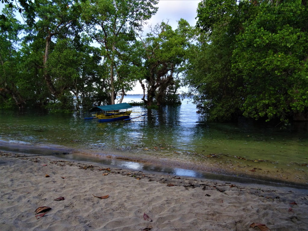 plage et mangrove de Lorenso Cottages