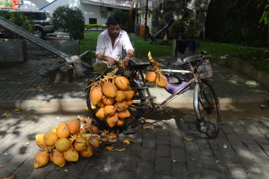 vendeur de fruit sur vélo à galle