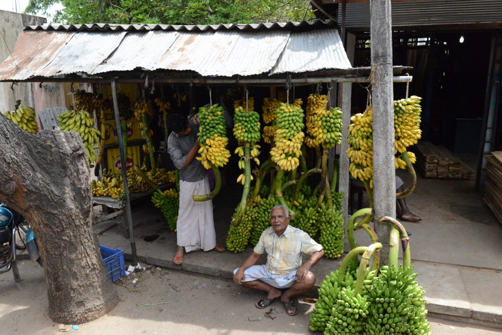 vendeur de bananes entre passekudah et arugam bay
