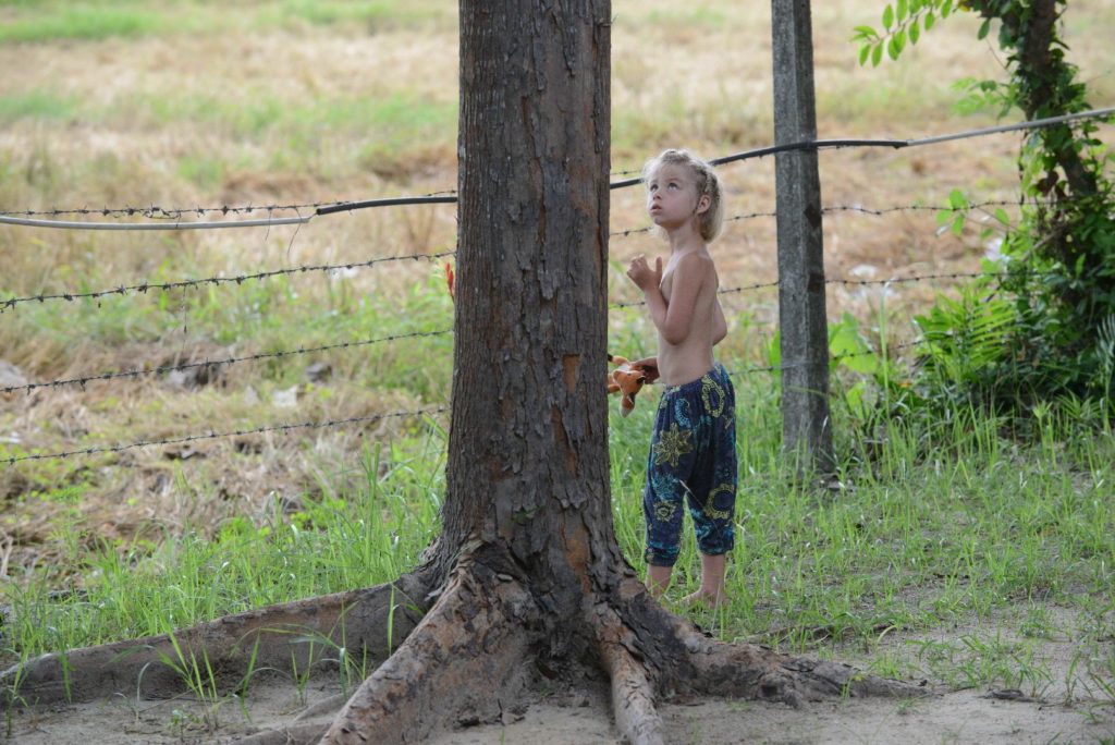 chatounette au réveil à polonnaruwa