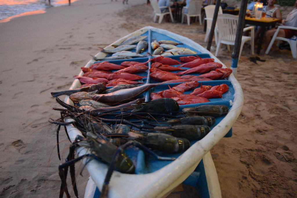 étal de poisson sur la plage de mirissa