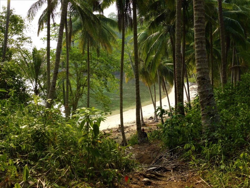 De Pondok Lestari à Barrucada Beach à travers la jungle de Kadidiri