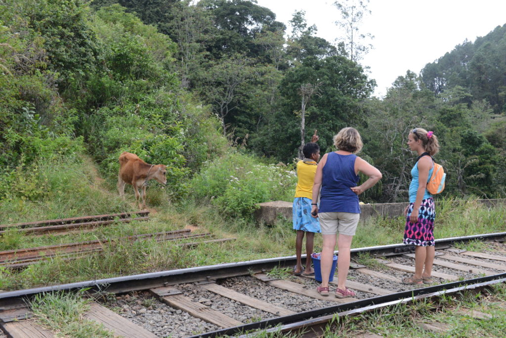 entre la gare de Ella et Nine Arc, sur les voies avec Navana