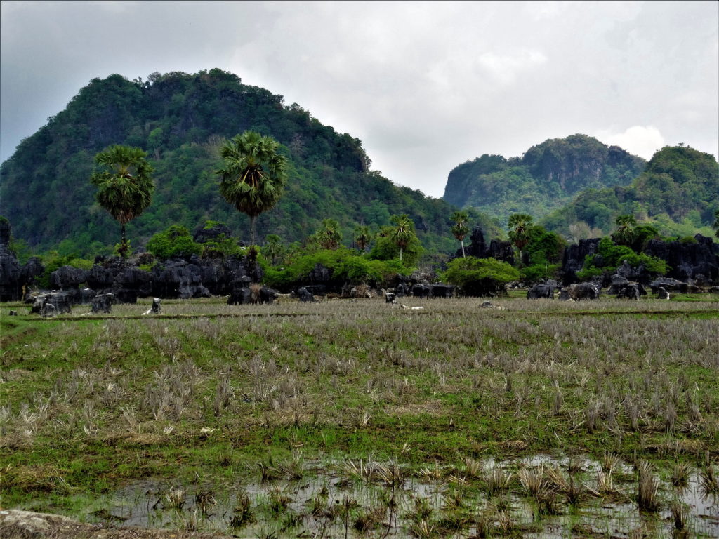 rizières, falaises karstiques entre makassar et ramang-ramang
