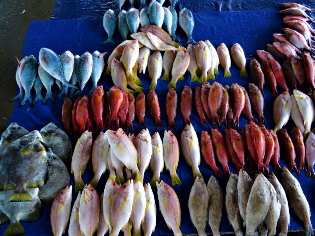 étalage de poisson à Paotere le vieux port de Makassar