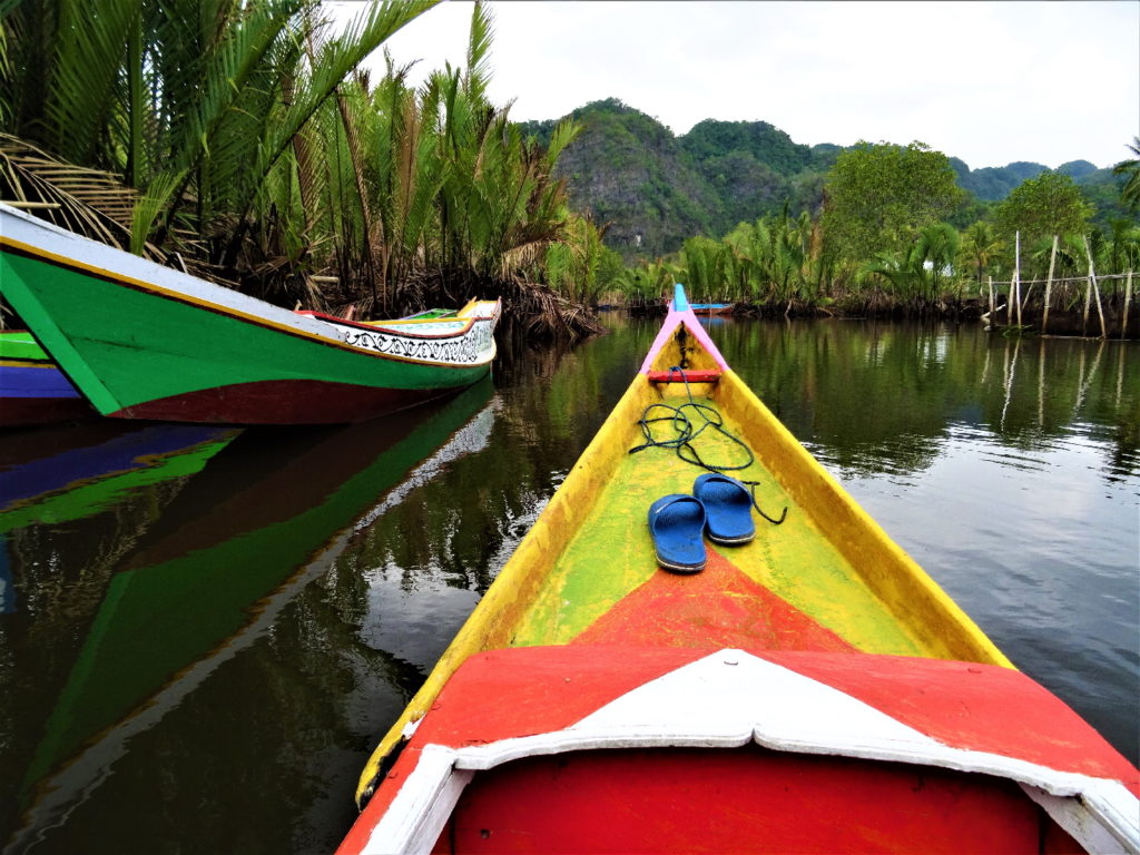 bateau au milieu de la mangrove de palmier pour rejoindre ramang-ramang