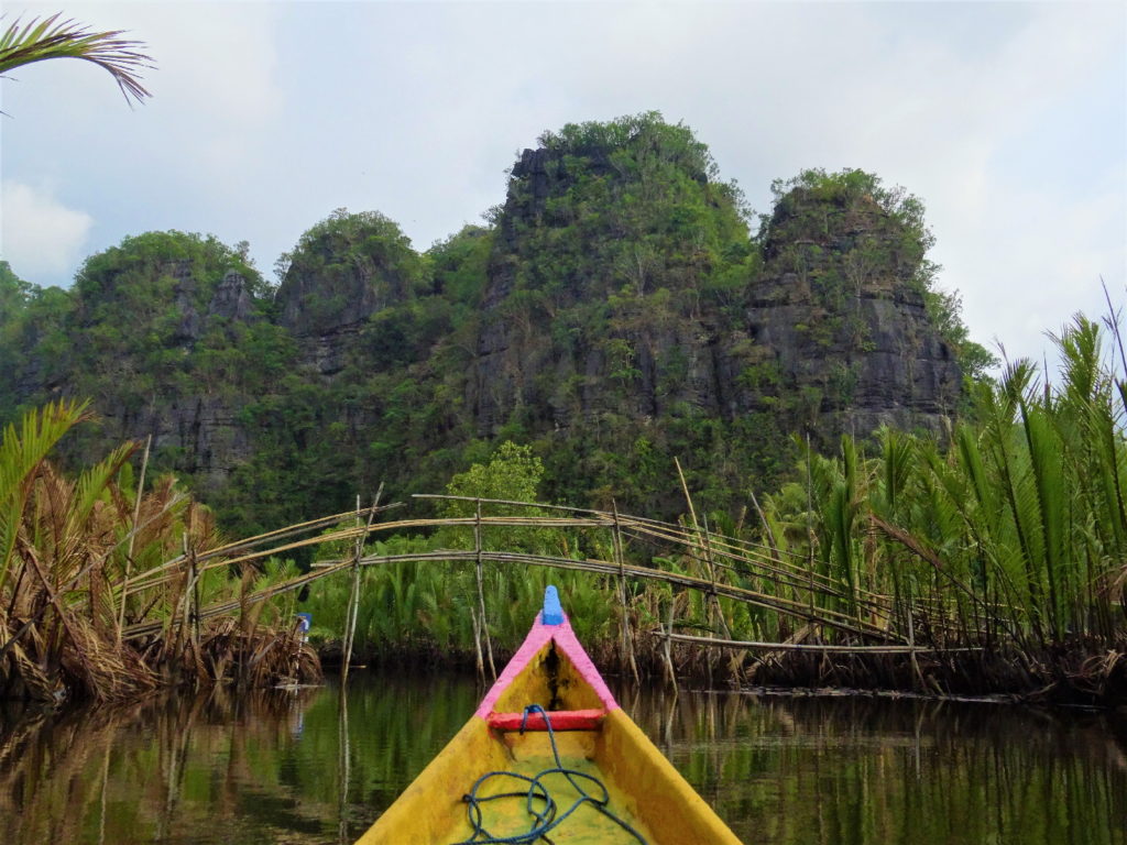 bateau au milieu de la mangrove de palmier pour rejoindre ramang-ramang sur fonds de parois karstiques