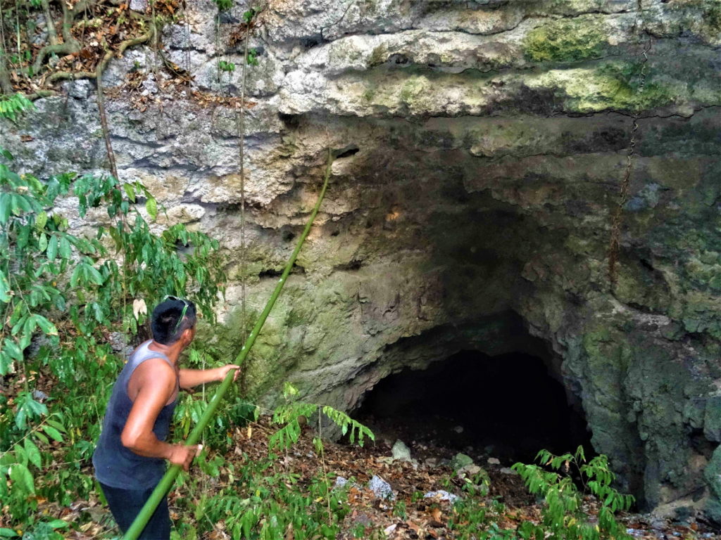 guide qui déloge un python au dessus de la grotte aux chauves-souris, malenge, togian