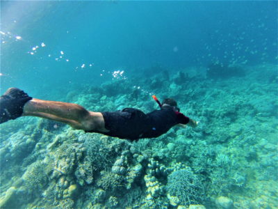 Snorkeling sur le reef n°5 depuis Malenge, îles Togian