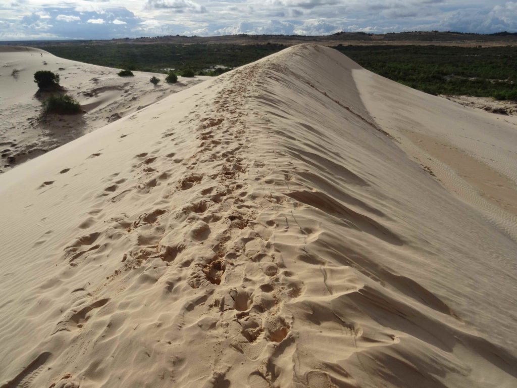 dunes blanches de Mui Ne