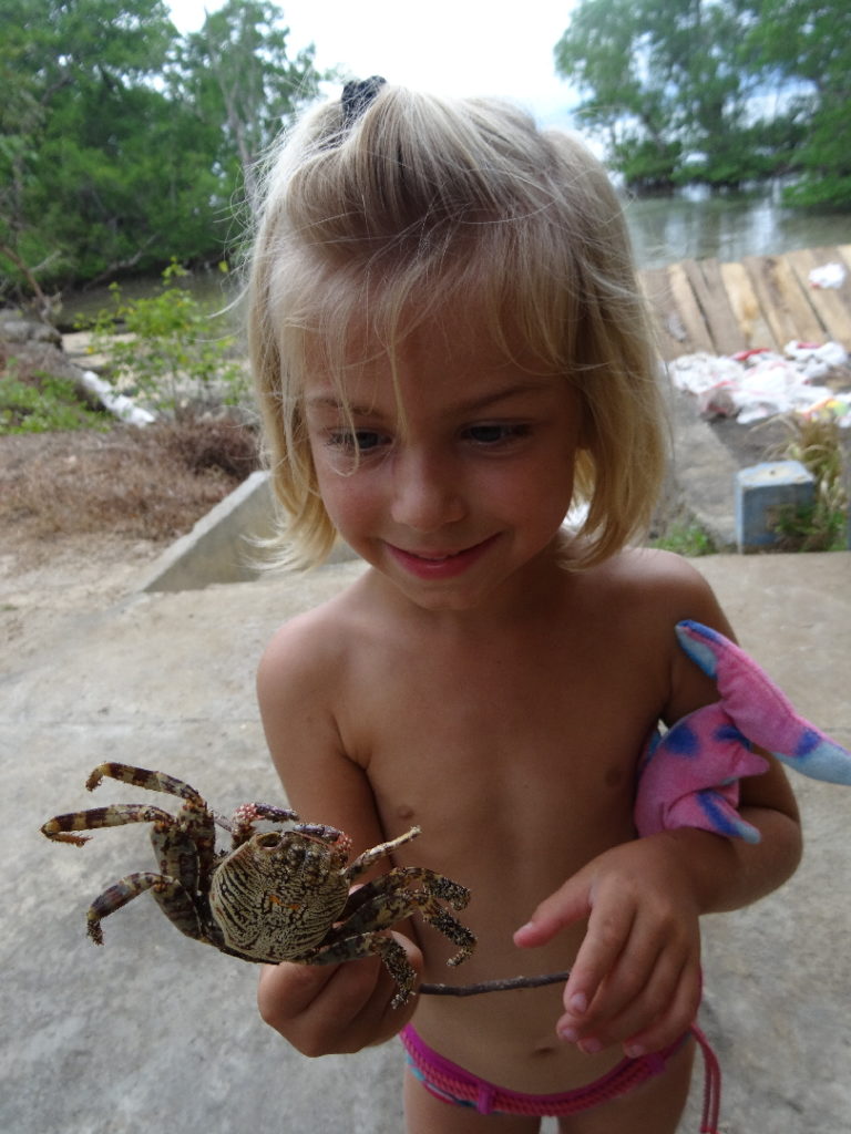 Chatounette a trouvé un crabe desséché