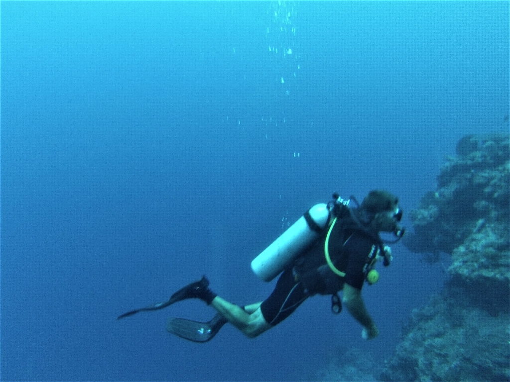 Chaton en plongée sous-marine à Bunaken