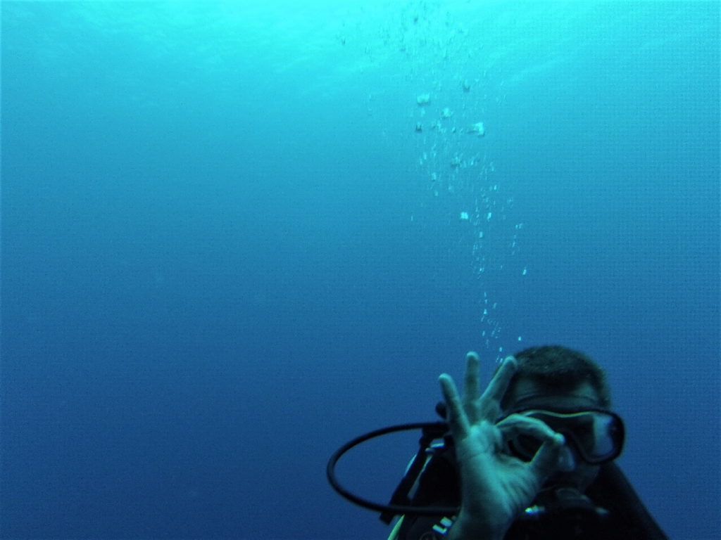 Chaton en plongée sous-marine à Bunaken