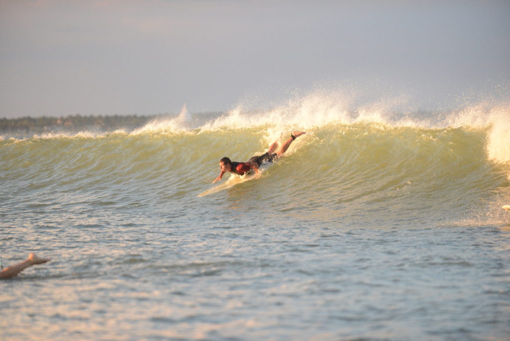 chaton surf à arugam bay