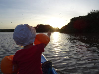 Tangalle : plage et mangrove en canoë