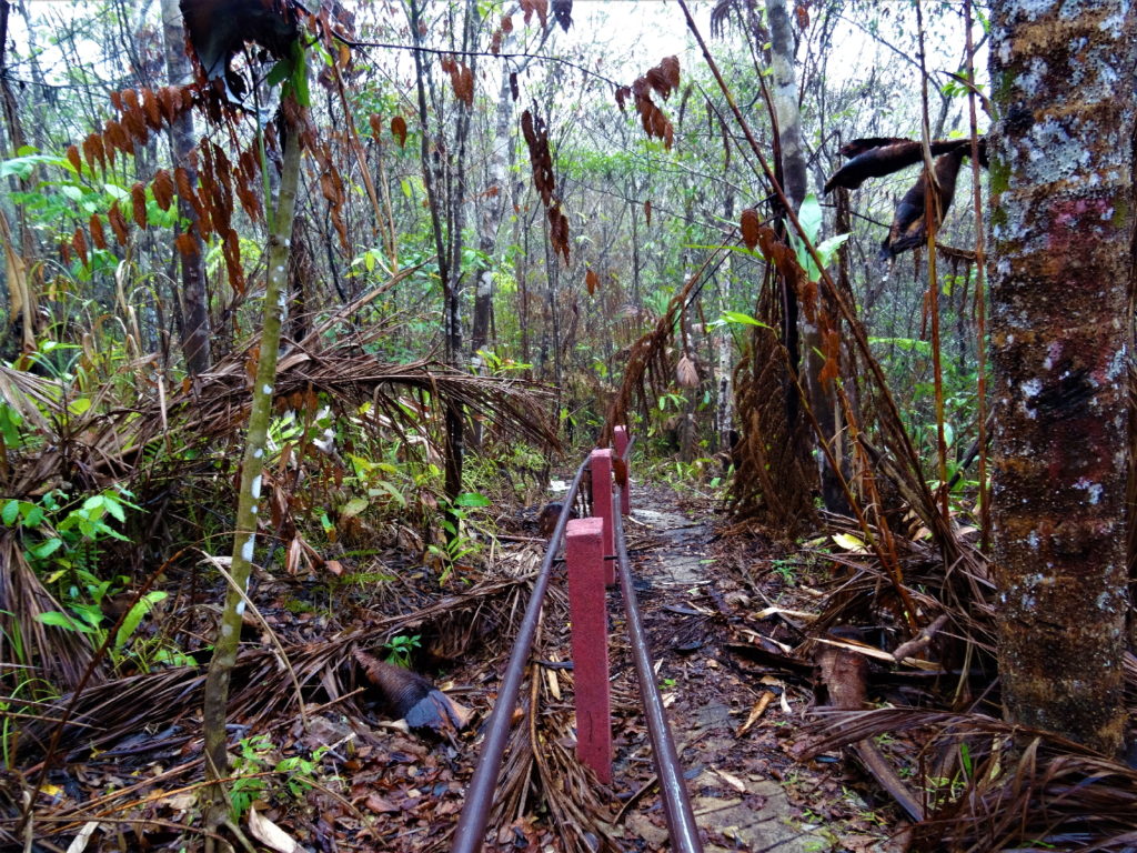 escalier pour rejoindre Gunung Mahawu