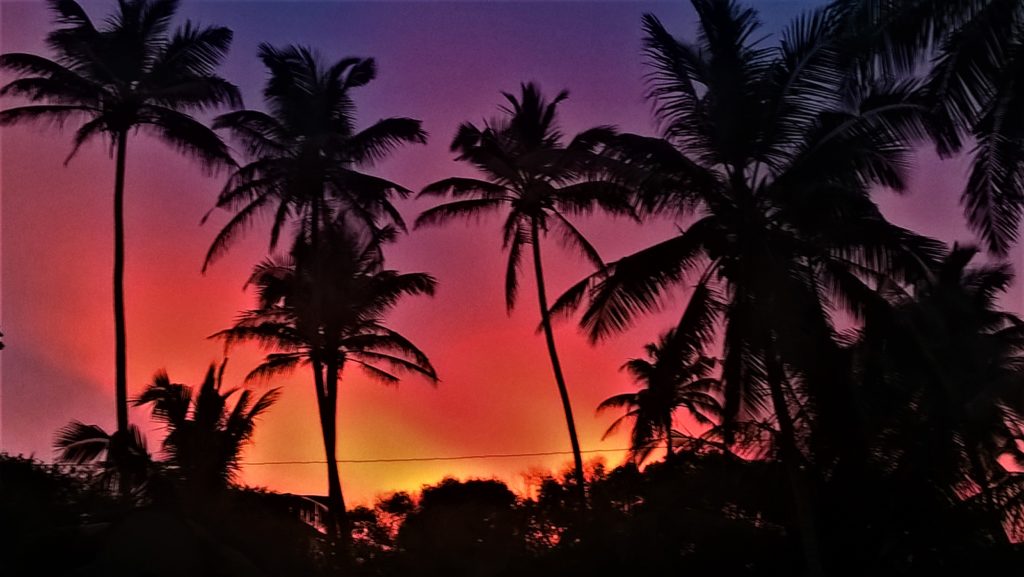 coucher de soleil sur les palmiers à Unawatuna