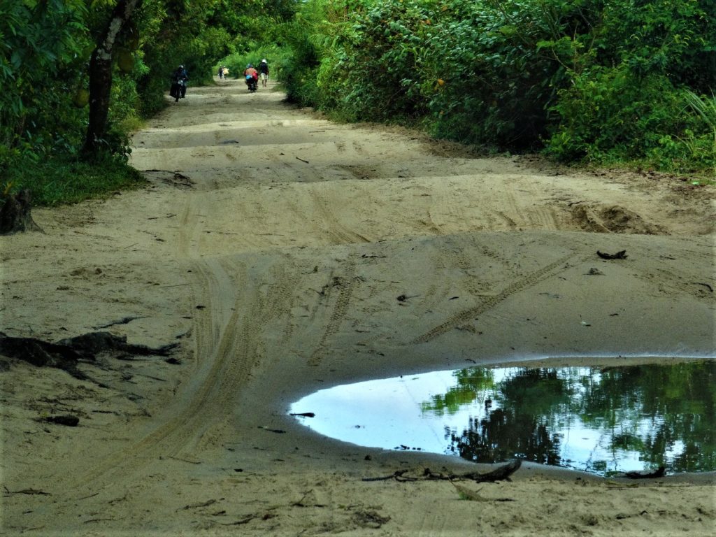 route ondulée de maroantsetra