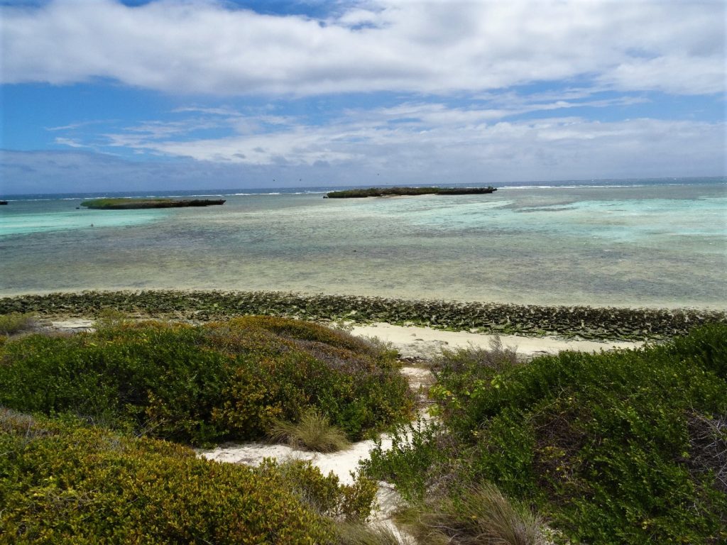 côte d'une île au milieu de la mer d'émeraude, végétation