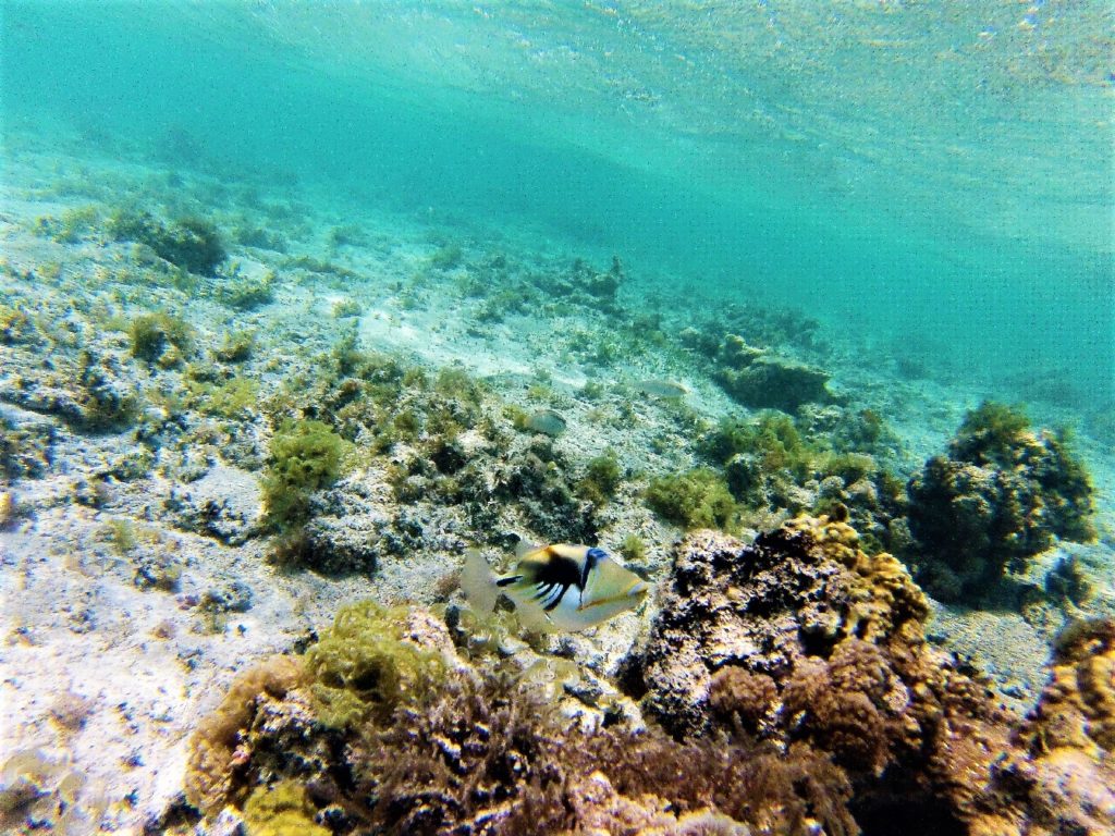 snorkeling mer d'émeraude