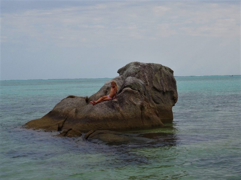 chatounette sur un rocher lisse dans la mer
