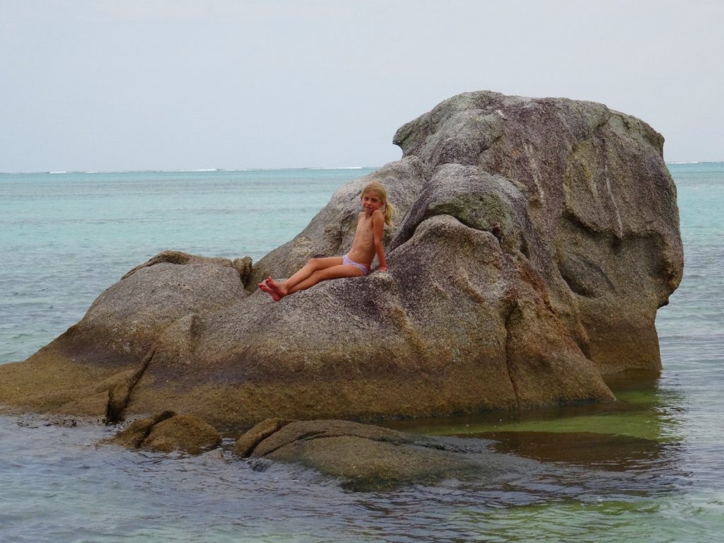 chatounette sur un rocher lisse dans la mer