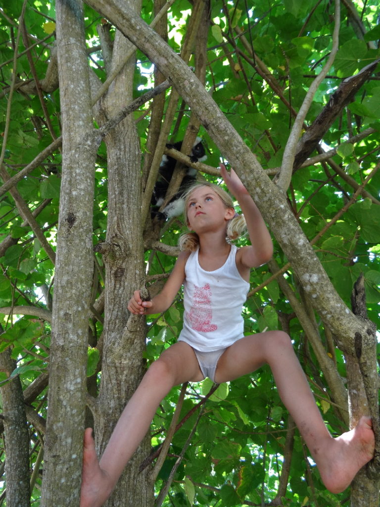 chatounette dans un arbre voulant caresser un lémurien à l'hôtel le lémurien, île aux nattes