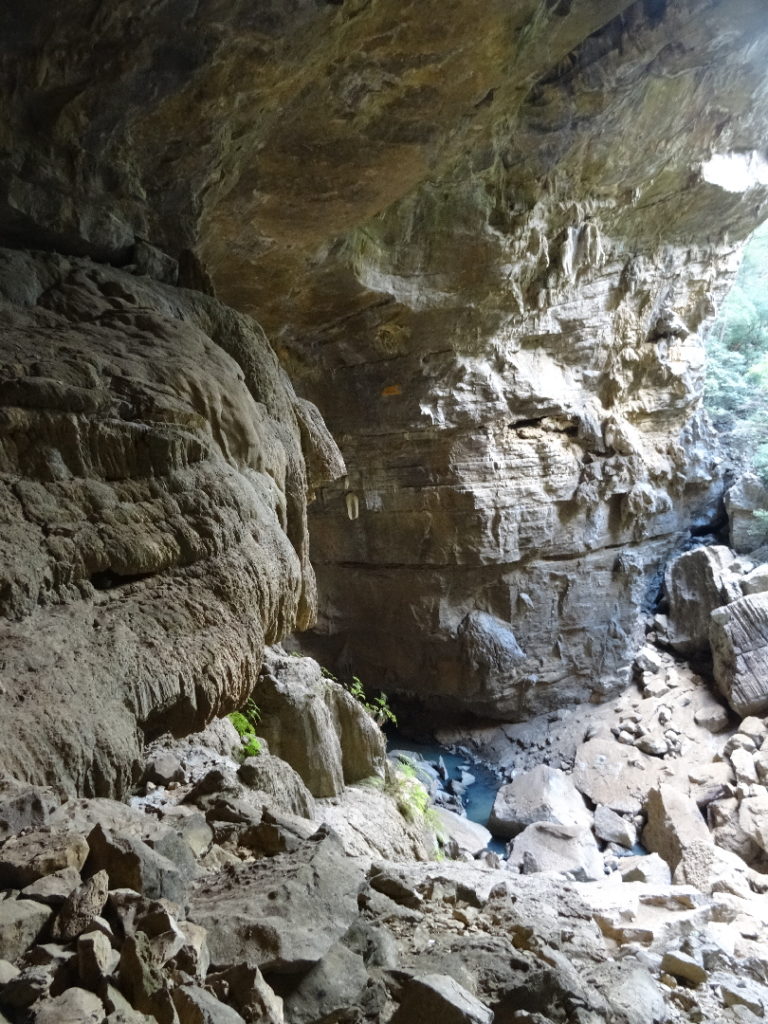 grotte aux chauves-souris, réserve spéciale, parc national de l'ankarana