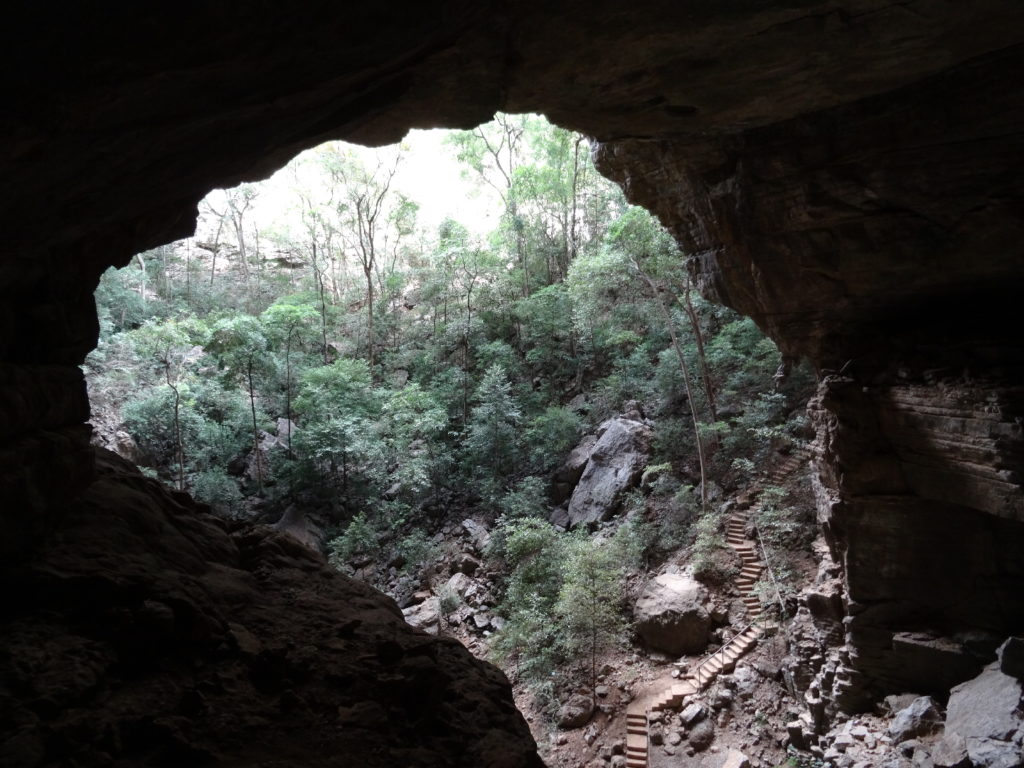 grotte aux chauves-souris, réserve spéciale, parc national de l'ankarana