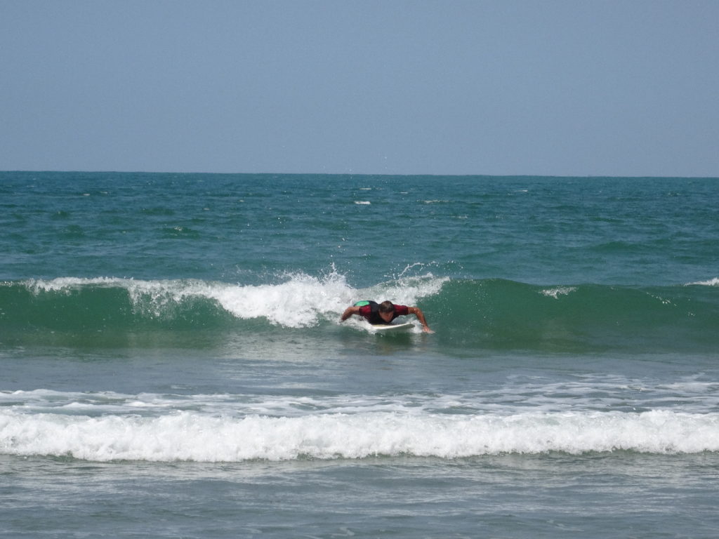 chaton surf mahambo