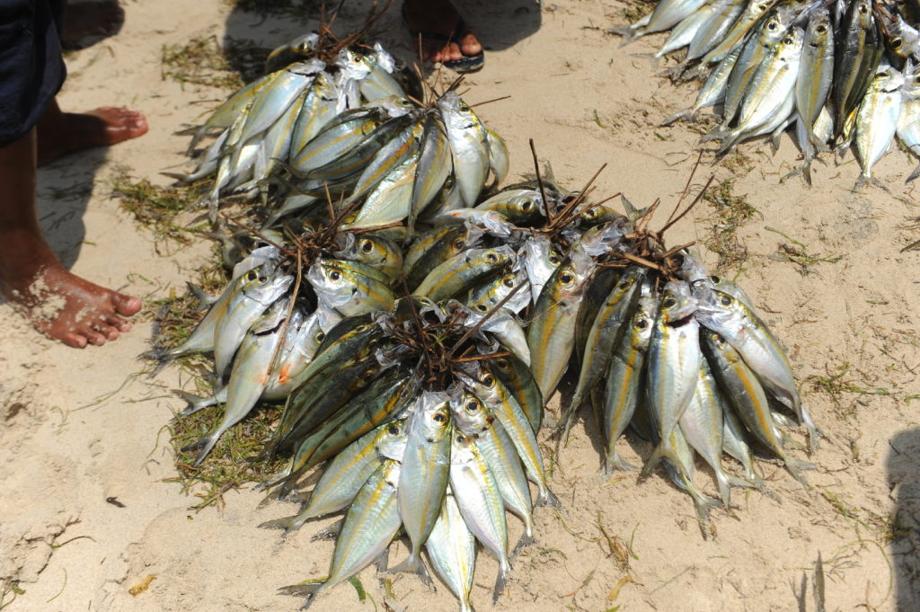 brochettes de poissons sur la plage d'arrivée de gili air
