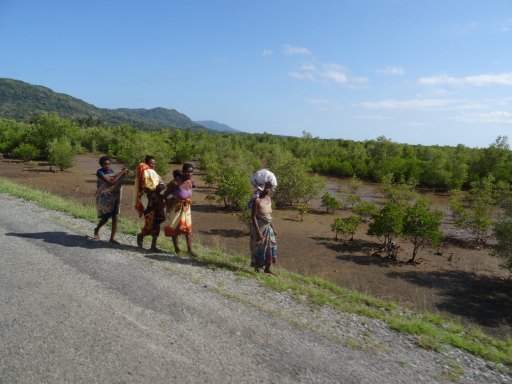 Paysage entre Diego-Suarez (Antisiranana) et Nosy Be, femmes sur le bord de la route