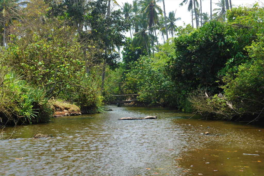 rivière à Balian Beach