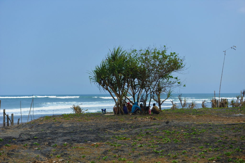 indonésiens à l'ombre d'un arbre au bord de la plage de balian beach