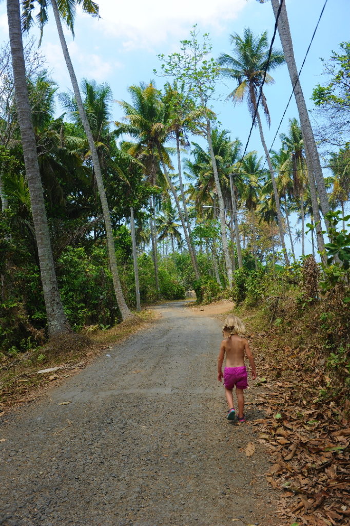 chatounette qui marche sur un chemin entre notre logement et la plage de Balian Beach