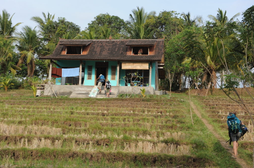 Maison dans les rizières à Balian Beach