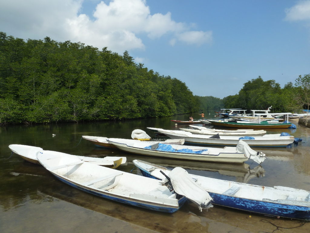 bateaux et mangrove à nusa lembogan