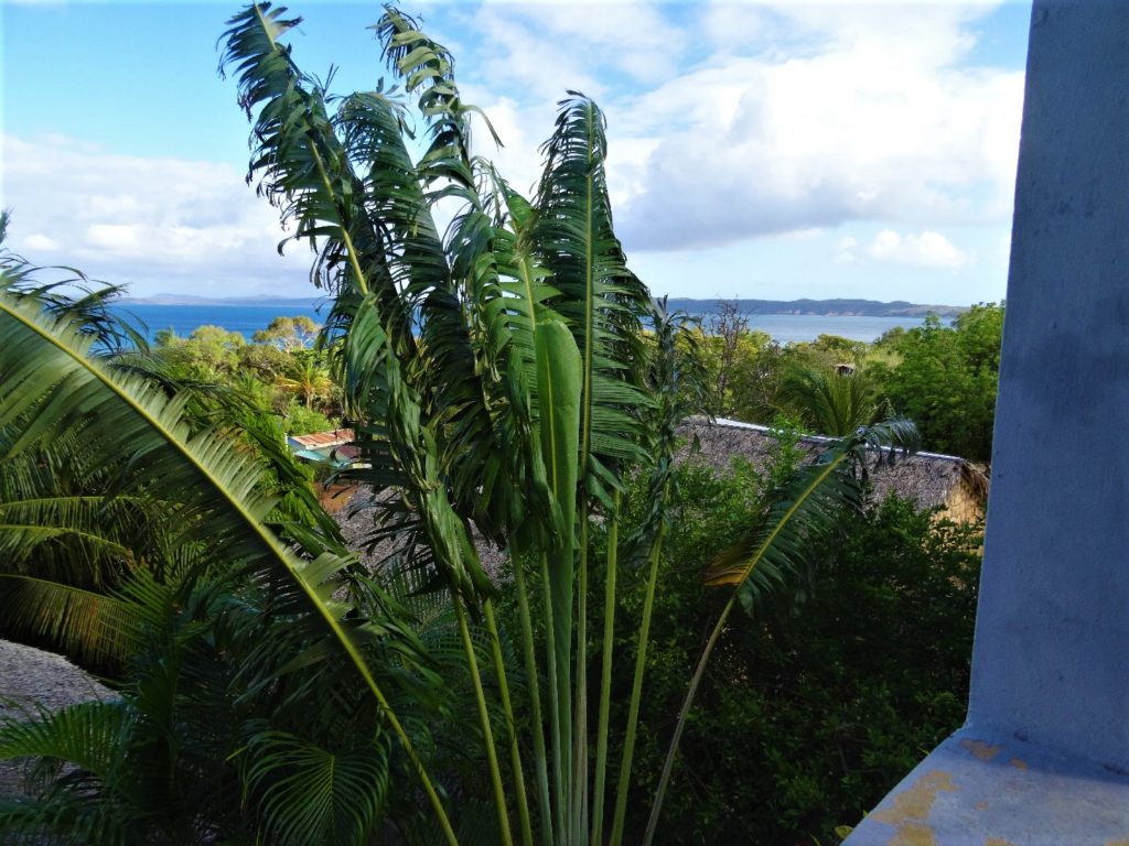 Vue depuis notre chambre d'hôtel à La Case en Falafy, Ramena