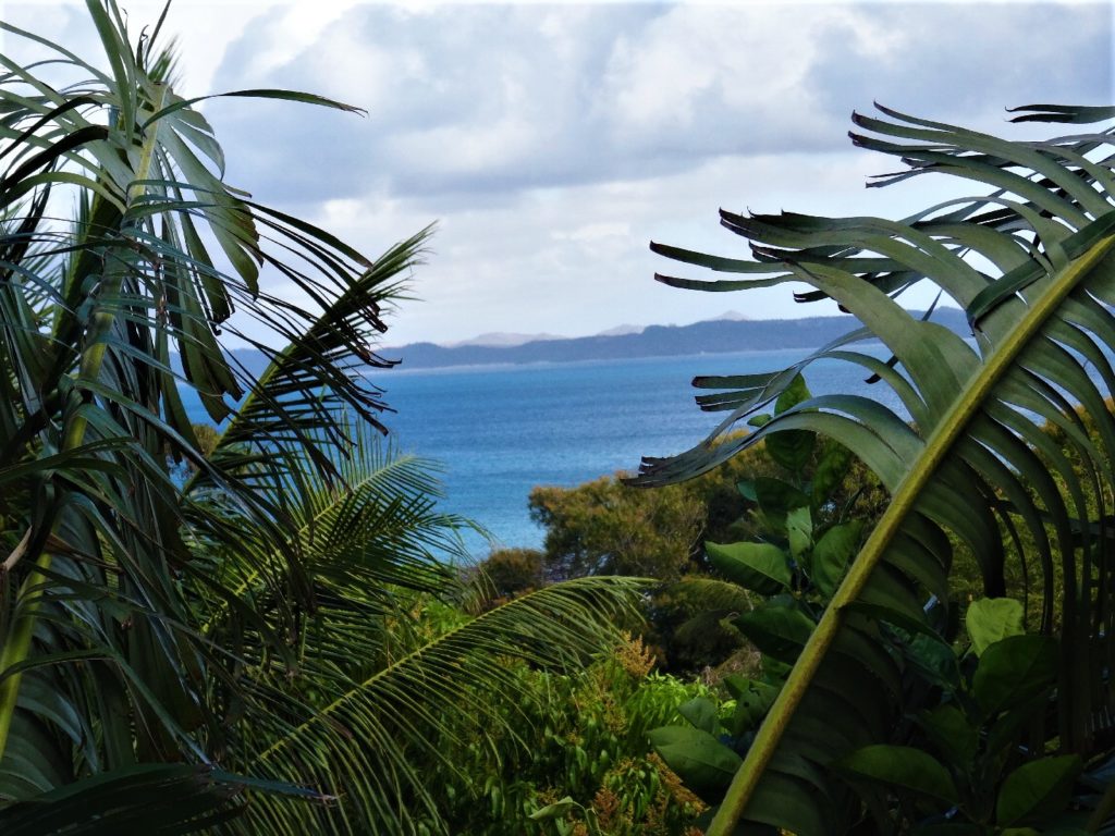 Vue depuis notre chambre d'hôtel à La Case en Falafy, Ramena