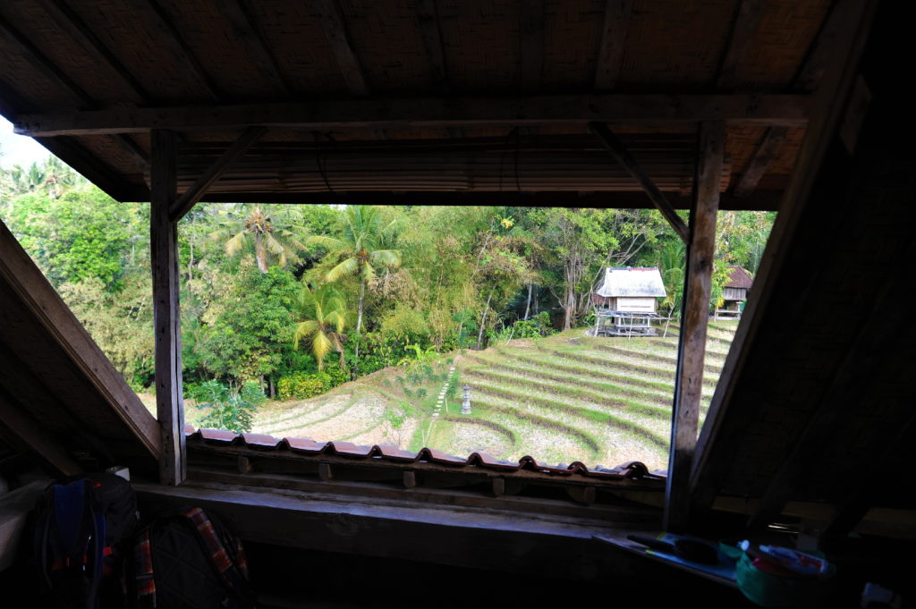 vue depuis la chambre à l'étage de la maison bleue dans les rizières