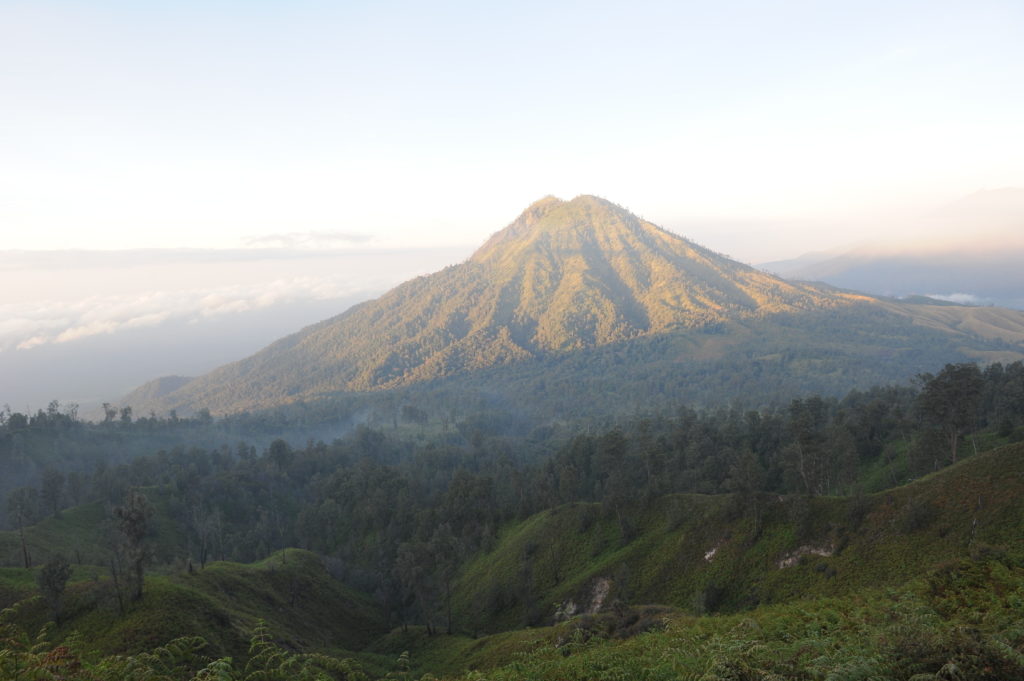 vue sur la forêt alentours du volcan Kawah Ijen, Java, Indonésie