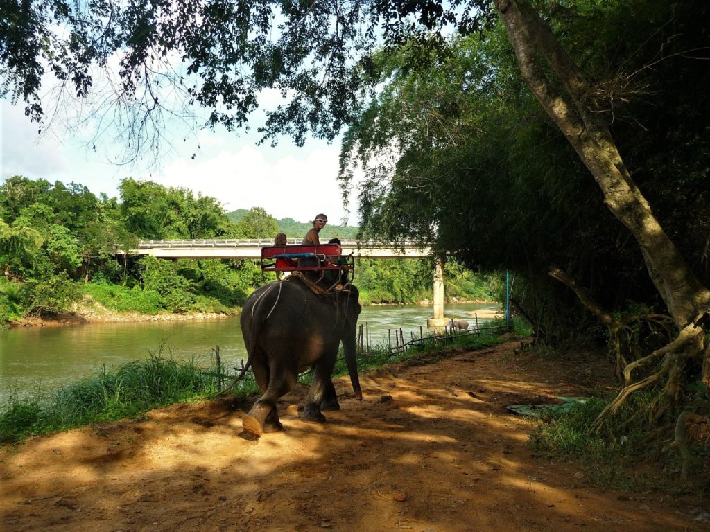 chatounette et chatoune sur le dos d'un éléphant près de Kra Sae Cave entre kanchanaburi et sai yok noi