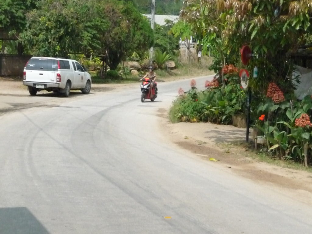 Chatounette en scooter sur la route enfin plate près de Doi Pha Hompok
