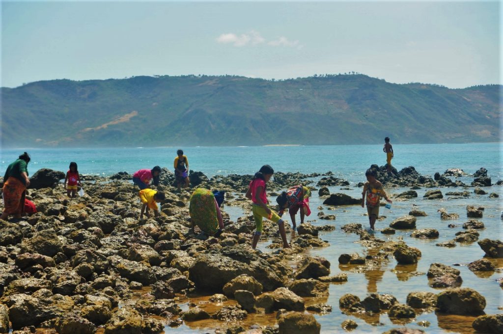 plage où ramasser les coquillages entre Kuta Lombok et Tanjung Aan Beach