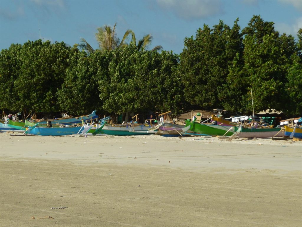 plage paradisiaque de selong belanak, près de kuta lombok