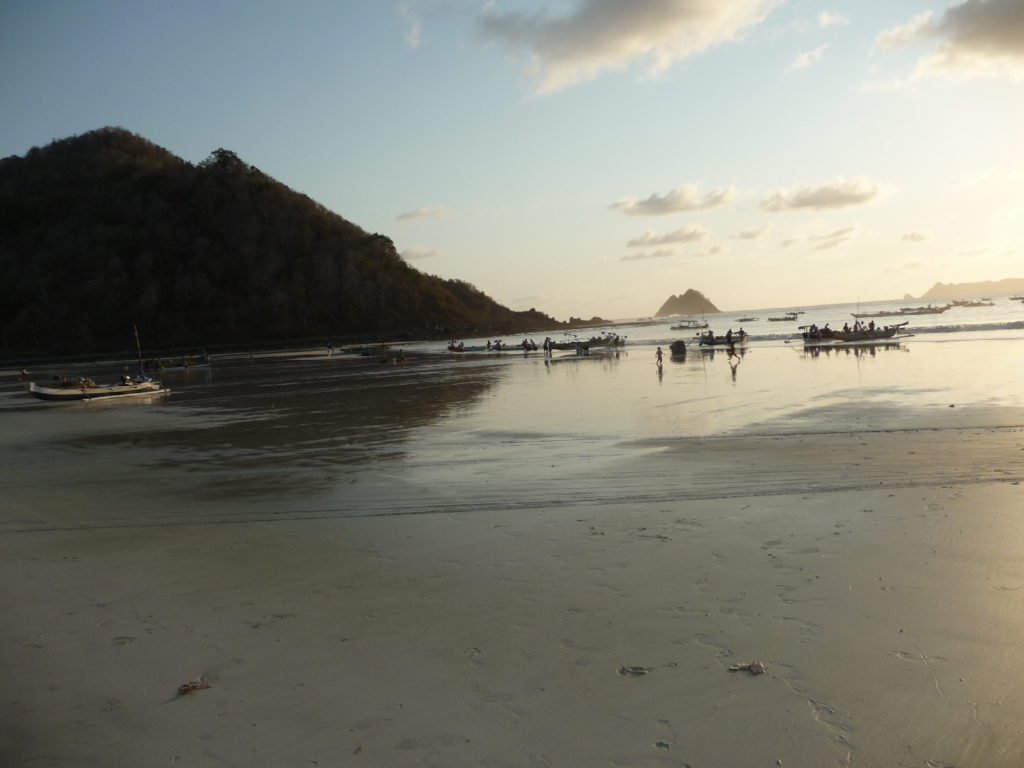 plage paradisiaque de selong belanak, près de kuta lombok
